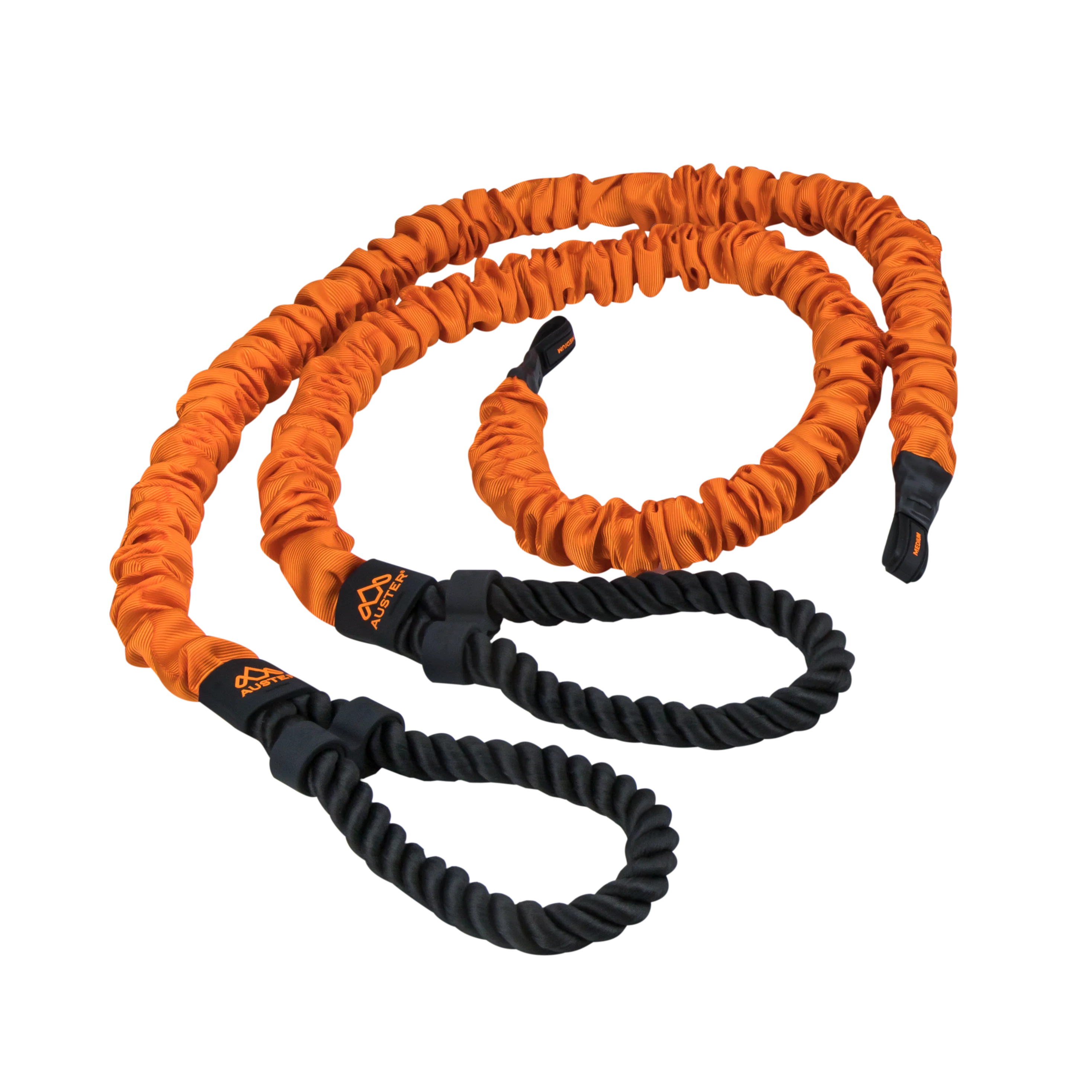 DYNAMIC BANDS - Image 3